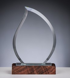 Zeige Details für Glas und Holz Flame Award Bild von Glas und Holz Flame Award